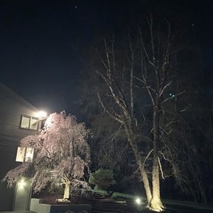 Meet your Posher, Maricela